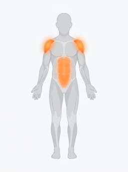 Body map highlighting spine, core