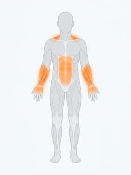 Body map highlighting obliques, forearms, traps