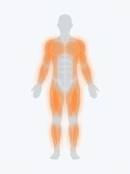 Body map highlighting shoulders, core, full body